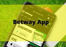 Betway cricket betting application review in India